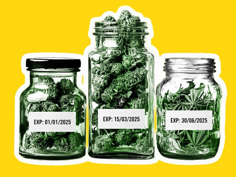 ¿Cómo conservar el CBD? Consejos para preservar todas sus cualidades