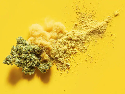 Descubra el proceso de fabricación del hachís de CBD: transparencia y metodología