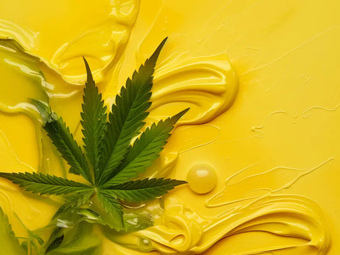 Extracción rigurosa para resinas excepcionales: cómo obtener una resina de CBD sin THC