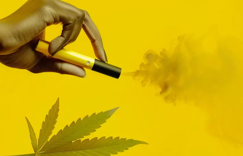 Guía: ¿Cómo vaporizar CBD con un vaporizador de plantas?