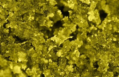 El Amarillo: una resina artesanal de CBD de lujo totalmente legal.