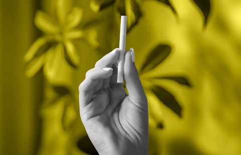 Los pasos esenciales para liar un cigarrillo de CBD