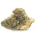Sunset Punch | Flor NBSH easyweedcbd