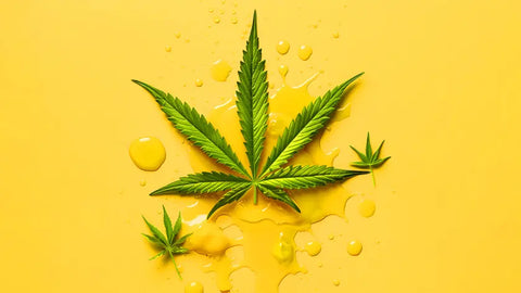 Franse Broad Spectrum CBD-oliën: het complete assortiment voor alle behoeften