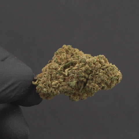 ROYAL CHEESE - Fleur CBD easyweedcbd